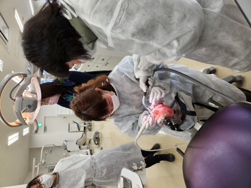 XP[OKȉqm̎pɖ߂Ă܂🎀